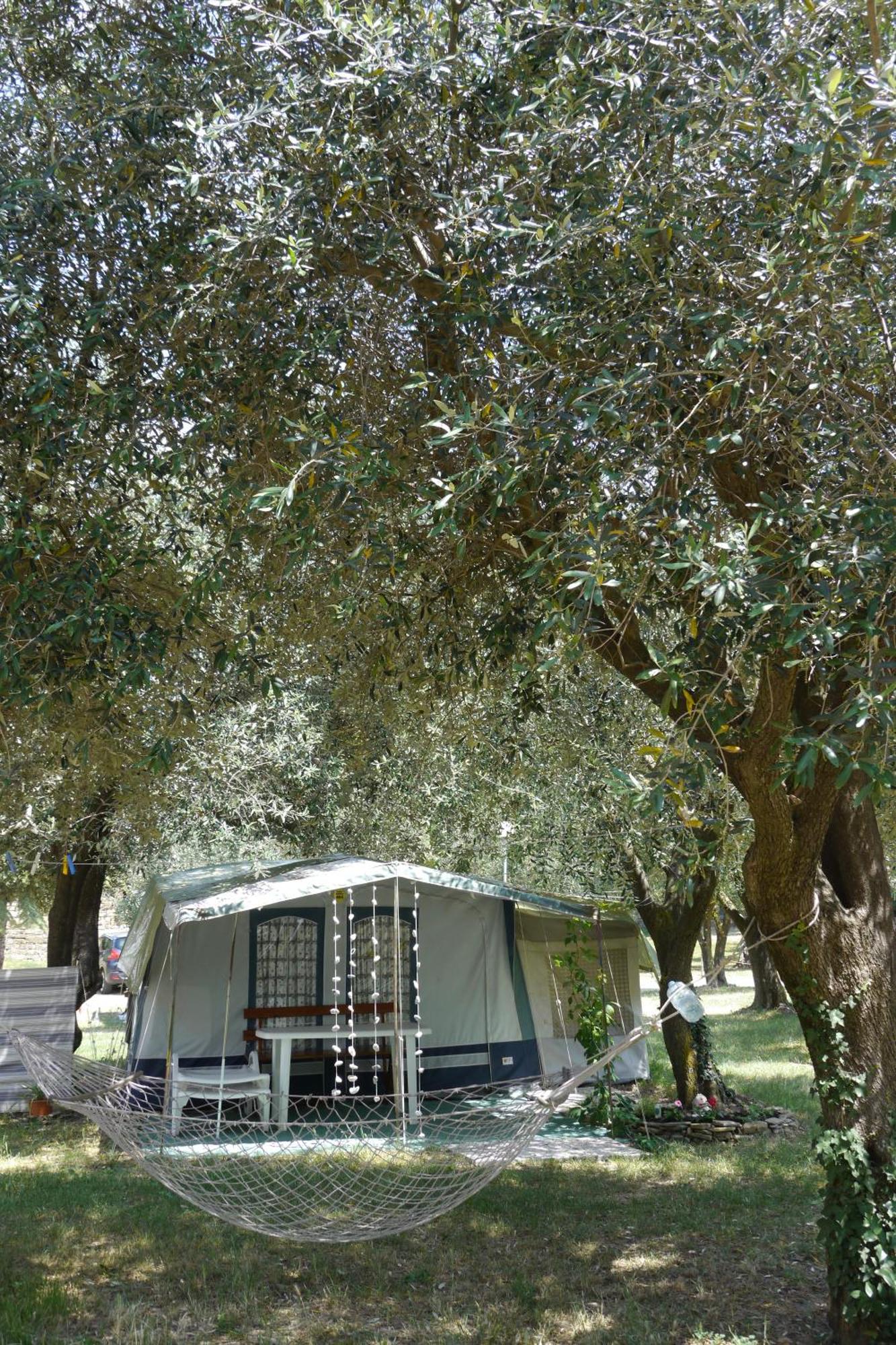 Camping Adria Ankaran - Pitches Dış mekan fotoğraf